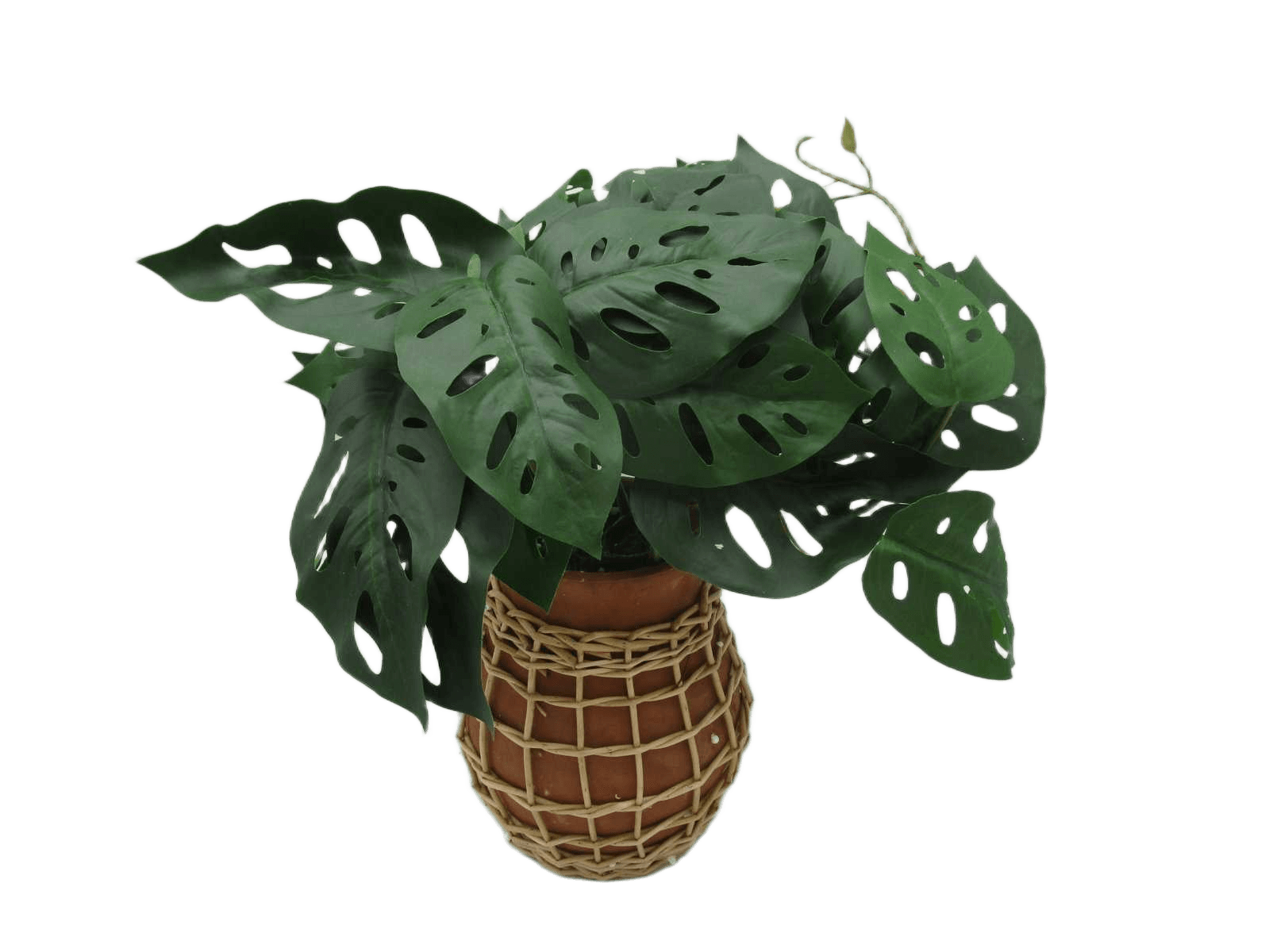 Artificial Monstera In Ceramic Pot