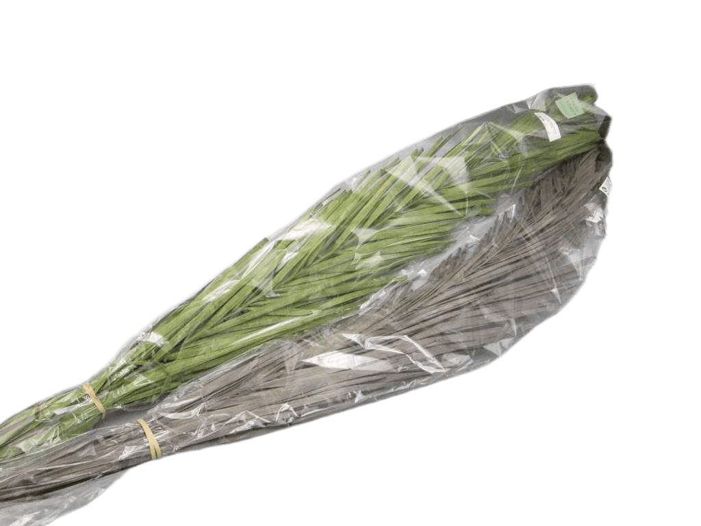 Artificial Khajur Leaves 100cm 3ass Clr
