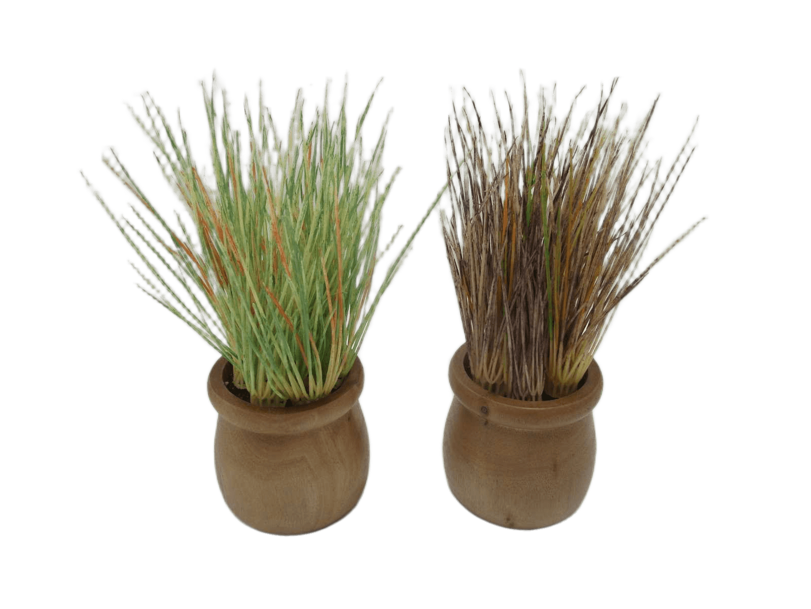 Artificial Grass In Wood Pot