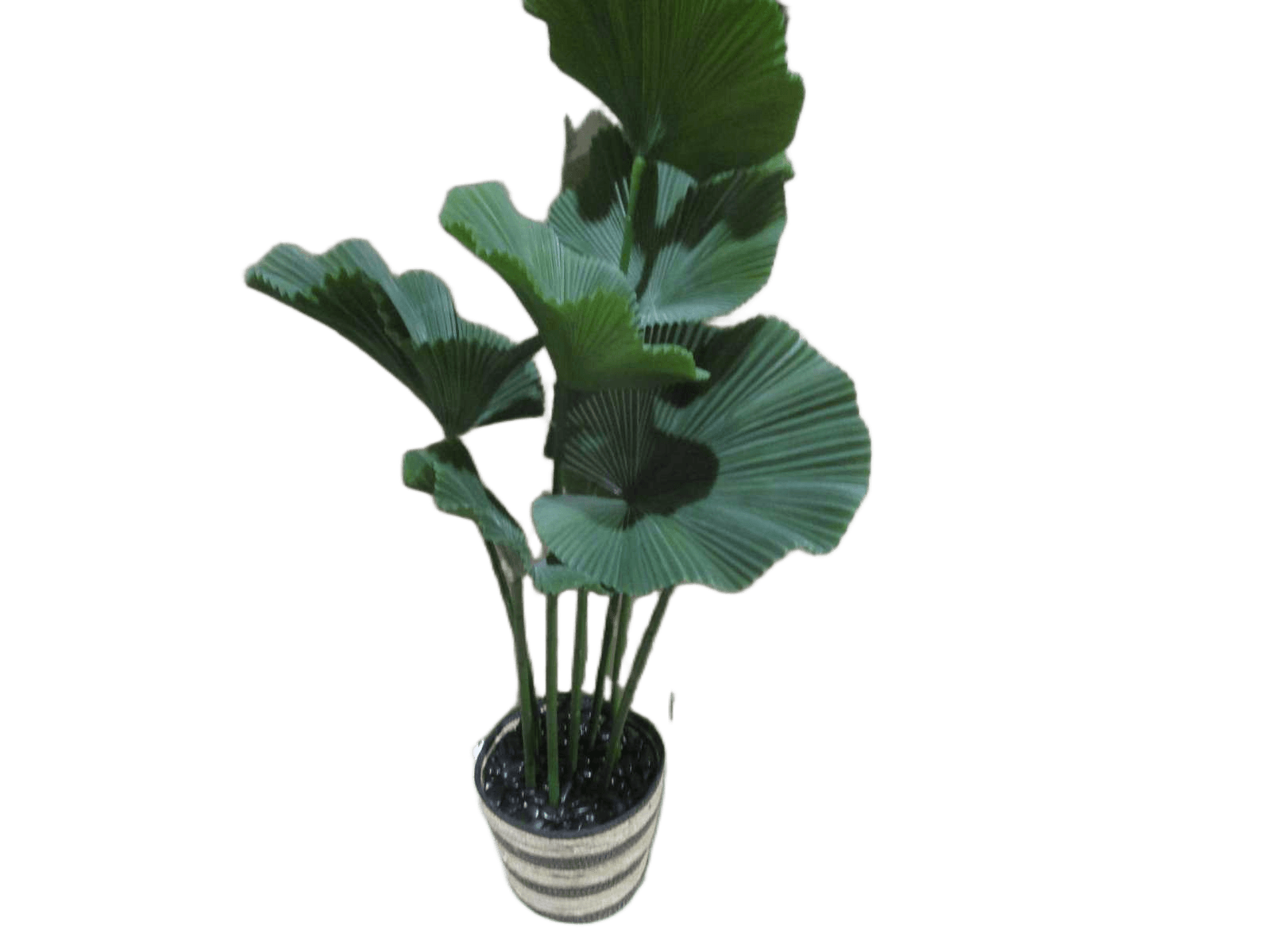 Artificial Lotus Leaves In Basket