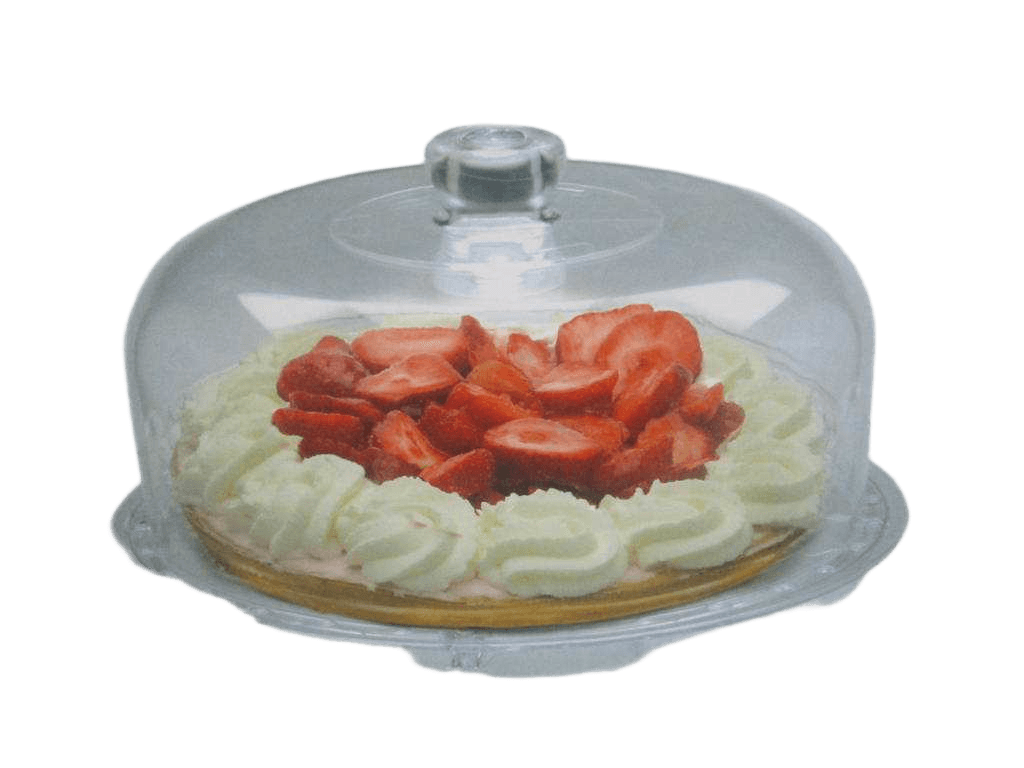 Serving Tray With Dome 6 Funct