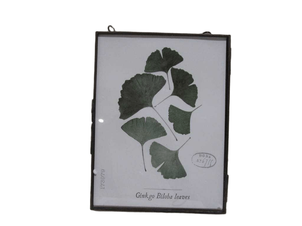 Photo Frame Chain 15*20