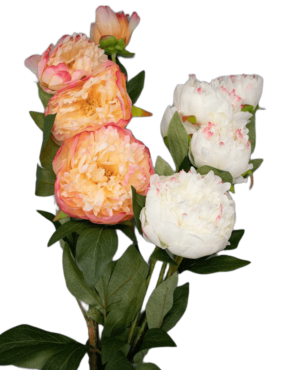 Artificial Flower Peony X 5 Flowers Ass 2 Colors White Pink And Old Pink 85 Cm