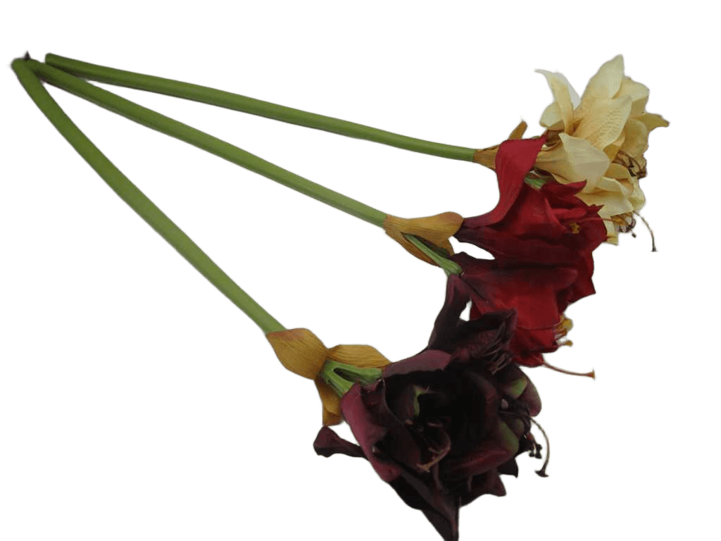 Artificial Amaryllis