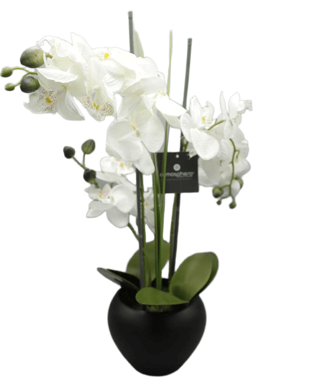 Artificial Orchid W/ Black Pot