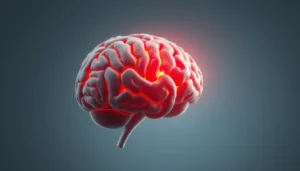 Gène Grik4: une cause possible de l'hyperactivité de l'amygdale liée à l'anxiété