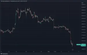 Bitcoin Price Likely to See Low-End Target Of $9,000 — Chief Market Strategist Warns