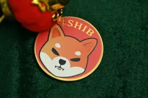 Shiba Inu: Co-fondateur et créateur de Shibarium appelle ceux qui répandent FUD – SHIB toujours timide
