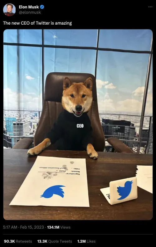 Comment prendre Shiba Inu (SHIB) – Le guide ultime pour la prise de SHIB