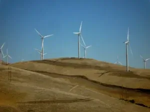 Google s'associe à une startup de Seattle pour simplifier les transactions d'énergies propres, dans le but de créer une nouvelle norme.