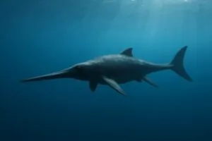 Xiphodracon goldencapensis : un ichthyosaure presque entier comble une lacune du Jurassique inférieur