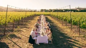 Tastemade conclut un accord pluriannuel de contenu avec le portefeuille de vins et spiritueux de Constellation Brands.
