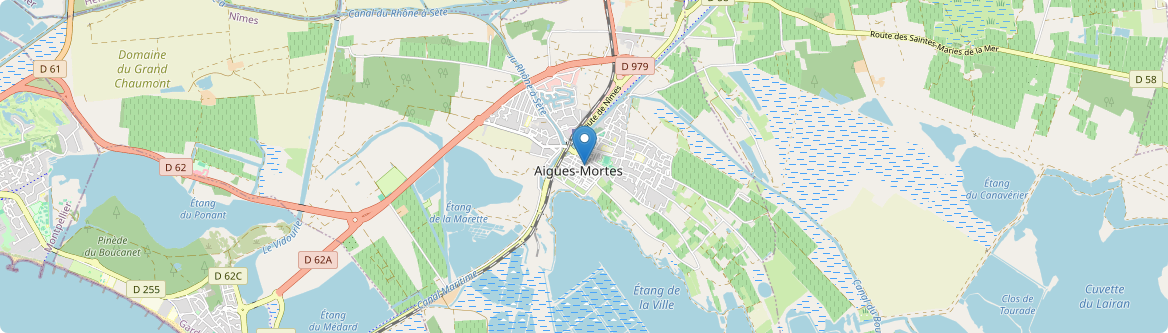 Aigues-Mortes - Carte