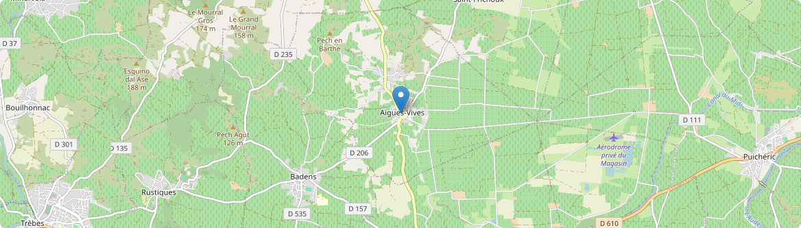 Aigues-Vives - Carte