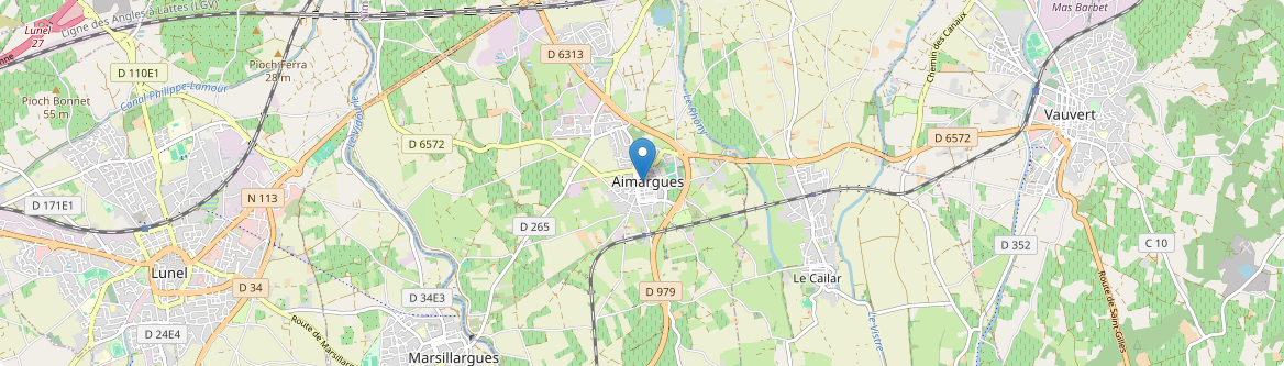 Aimargues - Carte