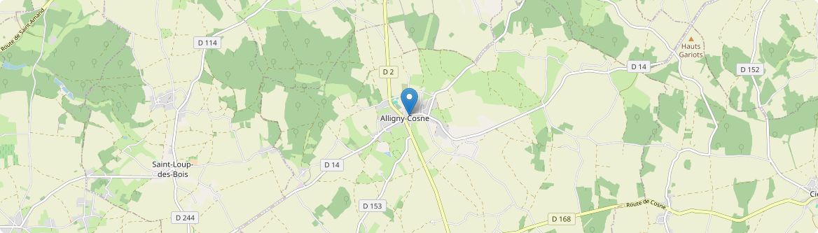 Alligny-Cosne - Carte