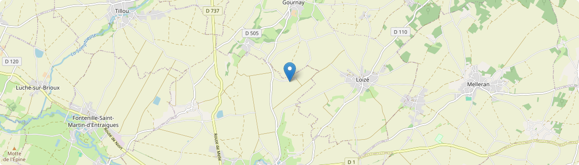 Alloinay - Carte