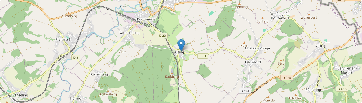 Alzing - Carte
