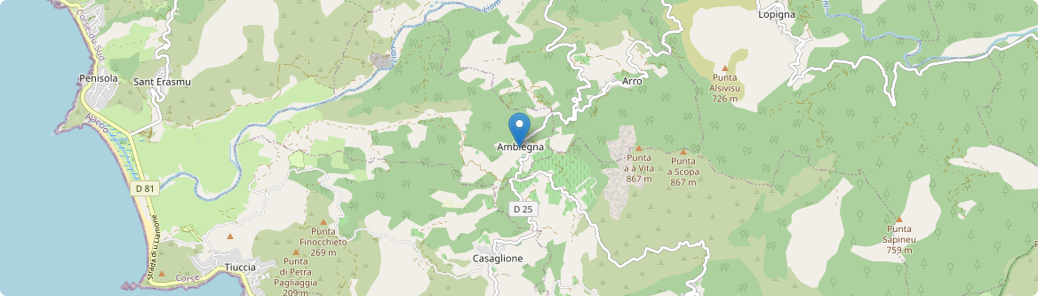Ambiegna - Carte
