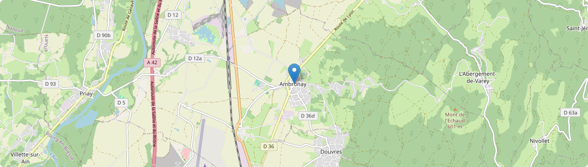 Ambronay - Carte