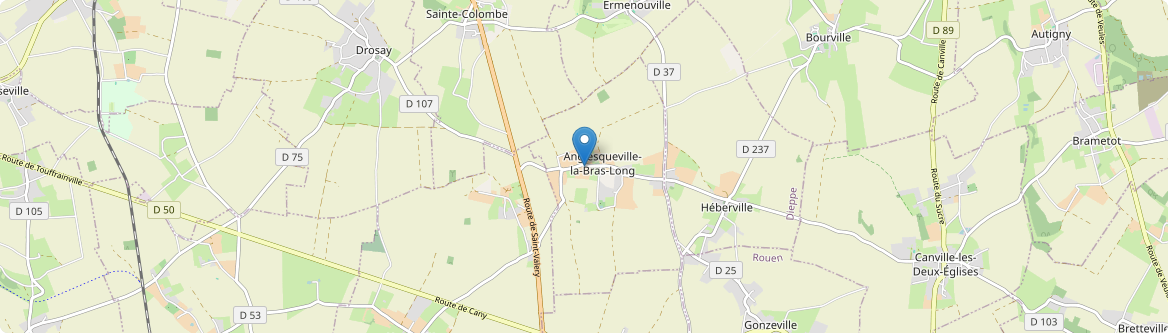 Anglesqueville-la-Bras-Long - Carte