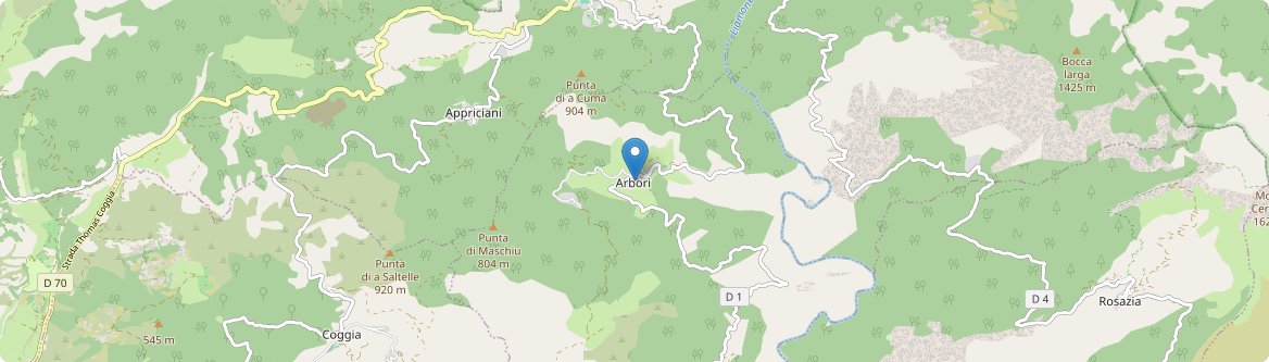 Arbori - Carte
