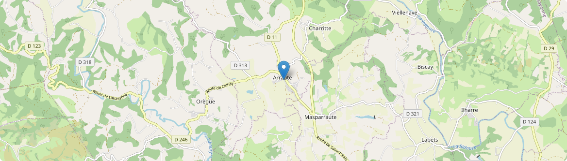 Arraute-Charritte - Carte