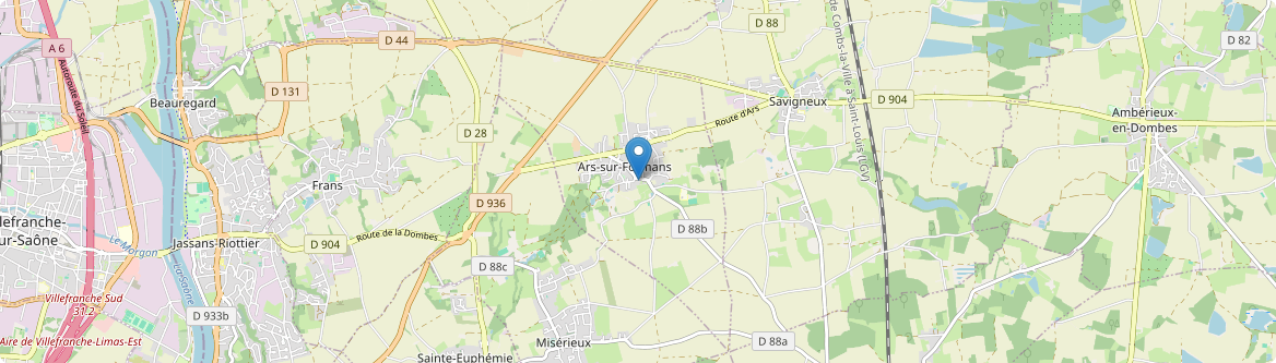 Ars-sur-Formans - Carte