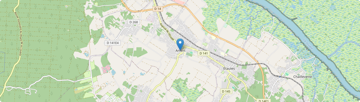 Arvert - Carte