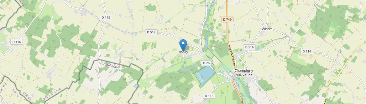 Assay - Carte