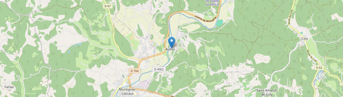 Aubas - Carte