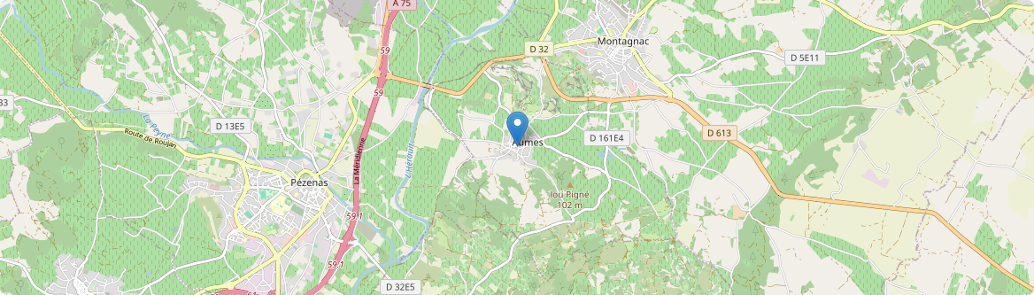 Aumes - Carte