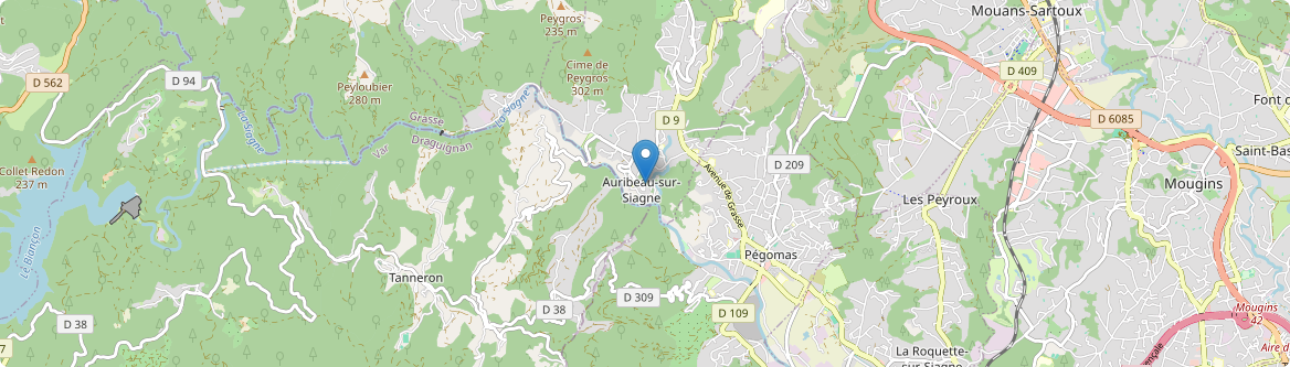 Auribeau-sur-Siagne - Carte