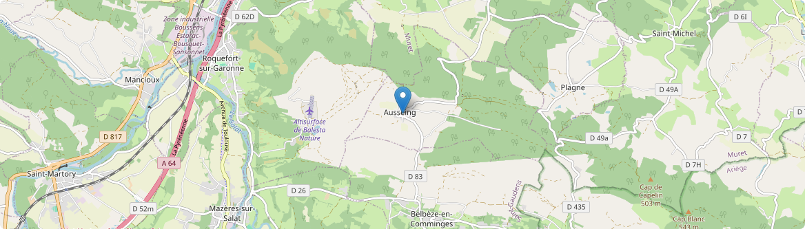 Ausseing - Carte