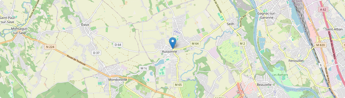 Aussonne - Carte