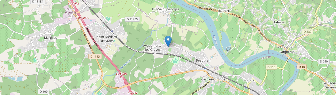 Ayguemorte-les-Graves - Carte