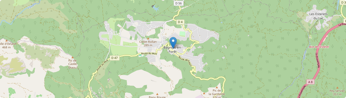 Bagnols-en-Forêt - Carte