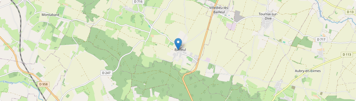 Bailleul - Carte