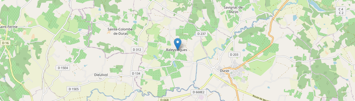 Baleyssagues - Carte