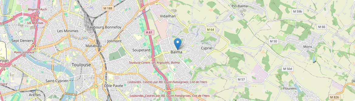 Balma - Carte