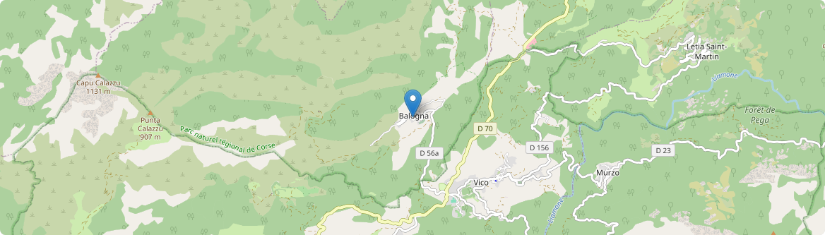 Balogna - Carte