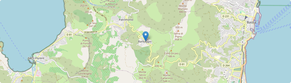 Barbaggio - Carte