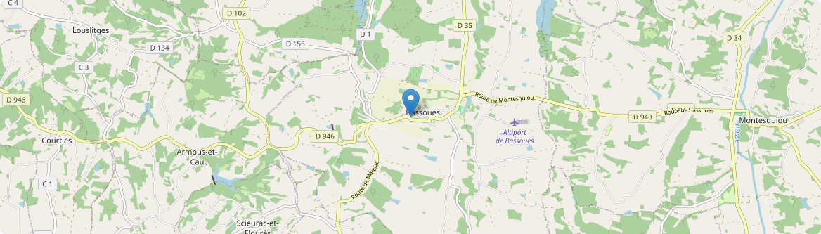 Bassoues - Carte