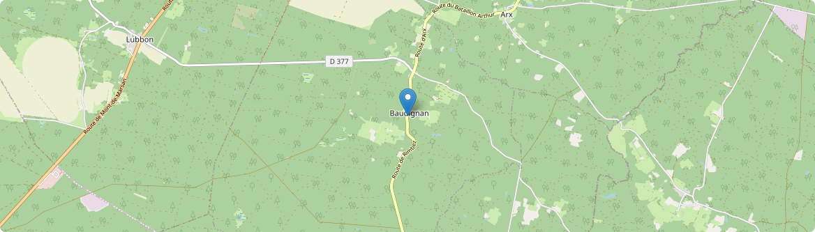 Baudignan - Carte