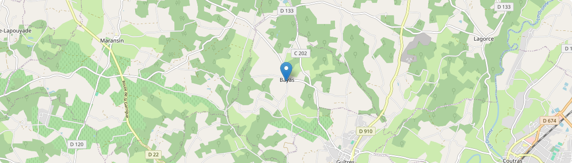 Bayas - Carte
