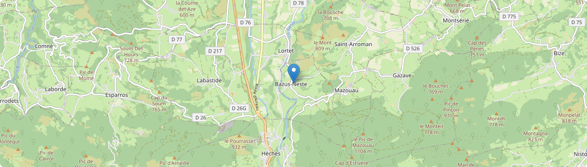 Bazus-Neste - Carte