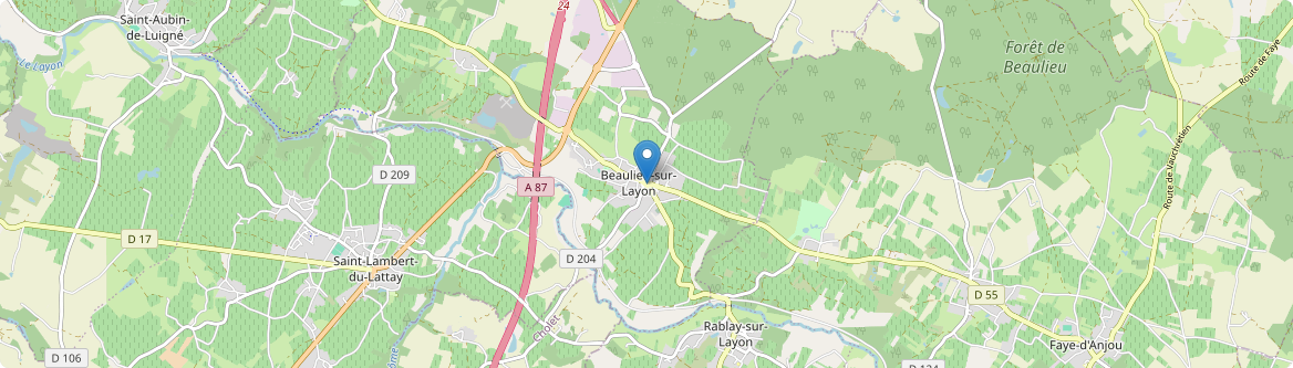 Beaulieu-sur-Layon - Carte