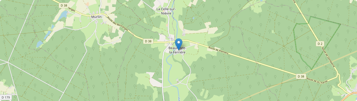 Beaumont-la-Ferrière - Carte