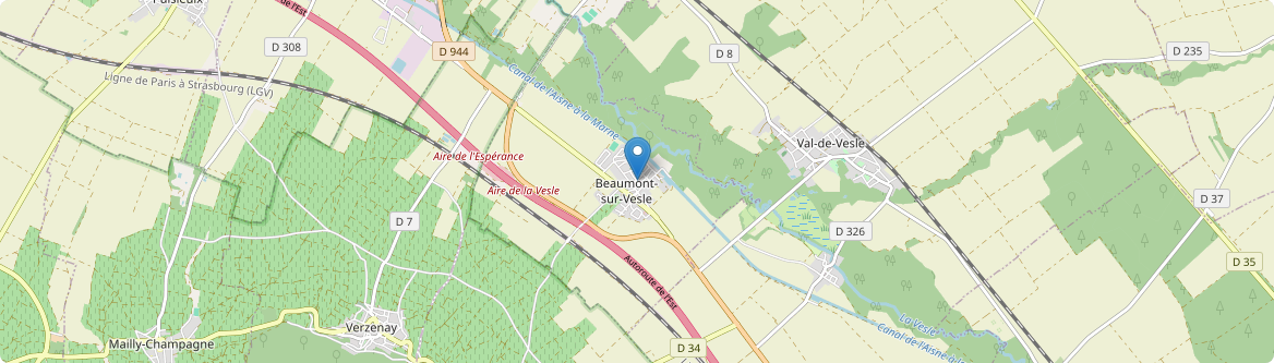 Beaumont-sur-Vesle - Carte