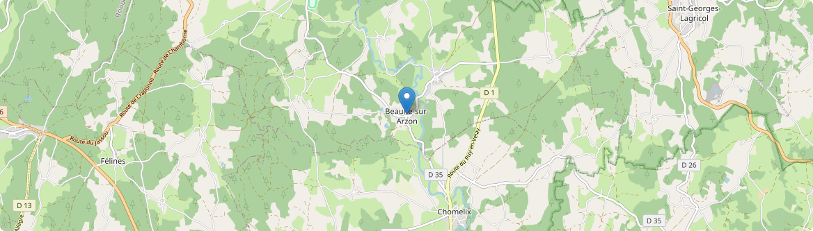 Beaune-sur-Arzon - Carte